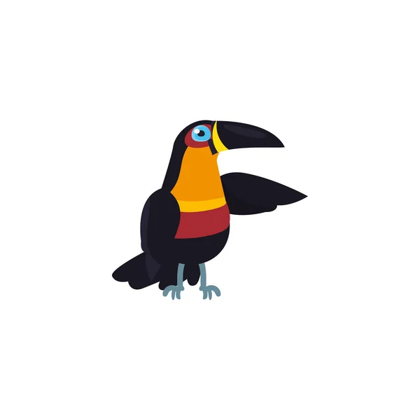 Design isolado do vetor de aves tucano — Vetor de Stock