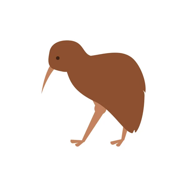 Mignon design australien vecteur kiwi — Image vectorielle