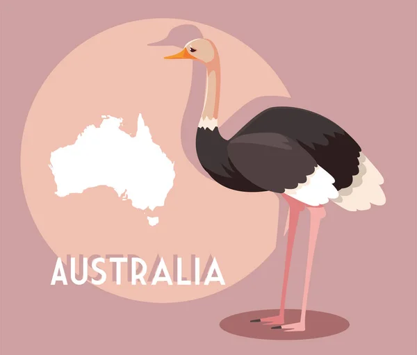 Avestruz con mapa de australia en el fondo — Vector de stock