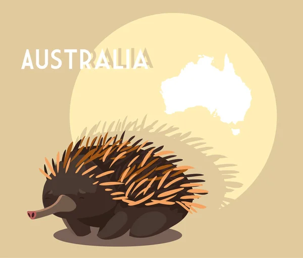 Echidna avec la carte de l'Australie en arrière-plan — Image vectorielle