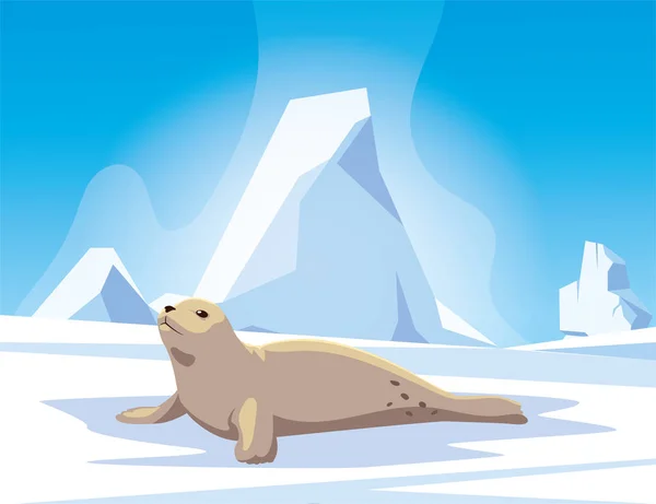 Tuleň na severním pólu, arktická krajina — Stockový vektor