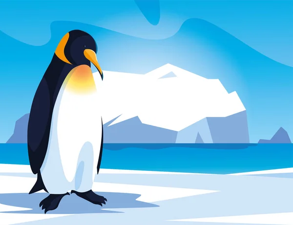 Penguin at the north pole, arctic landscape — ストックベクタ