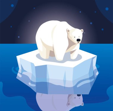 large polar bear on an ice floe drifting