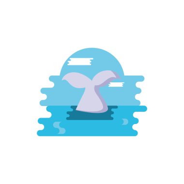 Cute australian whale fin vector design