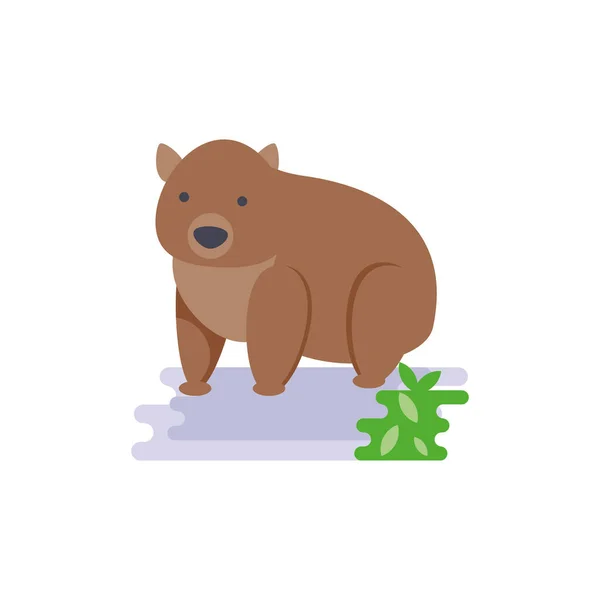 Desenho de vetor wombat australiano bonito —  Vetores de Stock