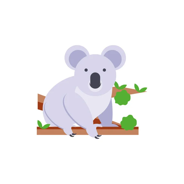 Cute australian koala vector design — 스톡 벡터