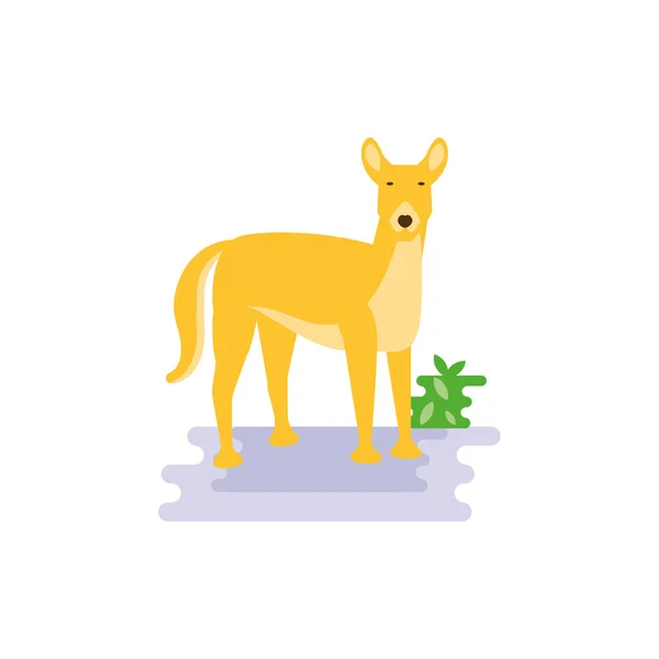 Lindo diseño de vectores de dingo australiano — Vector de stock