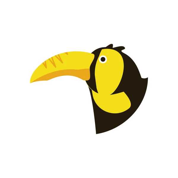 Design isolado do vetor de aves tucano — Vetor de Stock