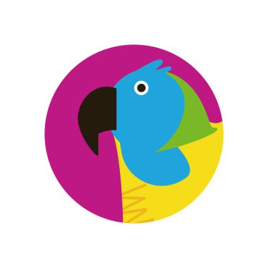 İzole edilmiş papağan kuş vektör tasarımı