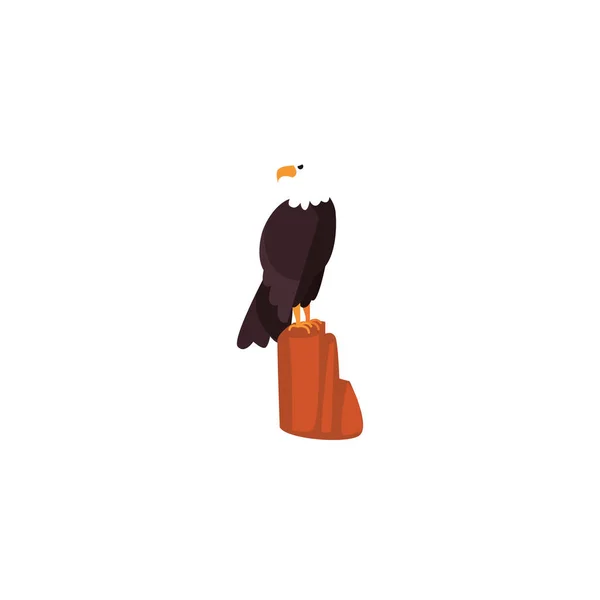 Desenho isolado do vetor de aves de águia — Vetor de Stock