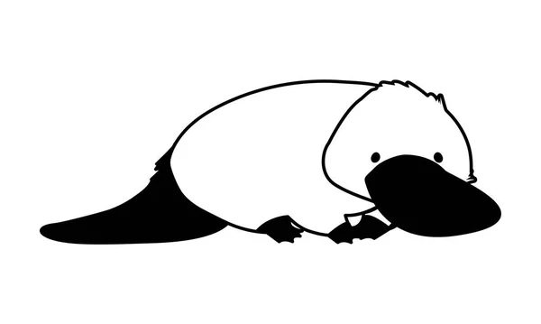 白色背景的可爱的澳大利亚鸭嘴兽 — 图库矢量图片