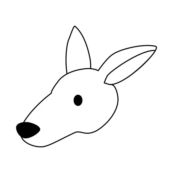 Head of kangaroo on white background — Stock Vector