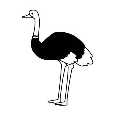 Beyaz arkaplanda sevimli devekuşu