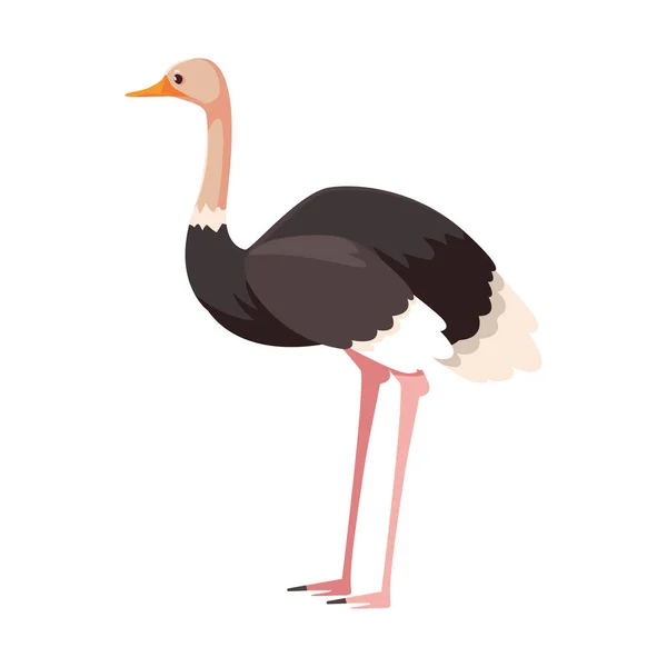 Cute ostrich on white background — 스톡 벡터