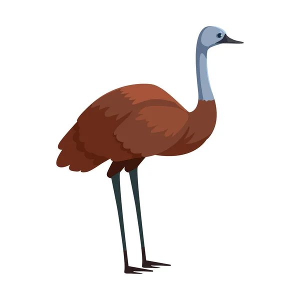 Cute emu on white background — 스톡 벡터