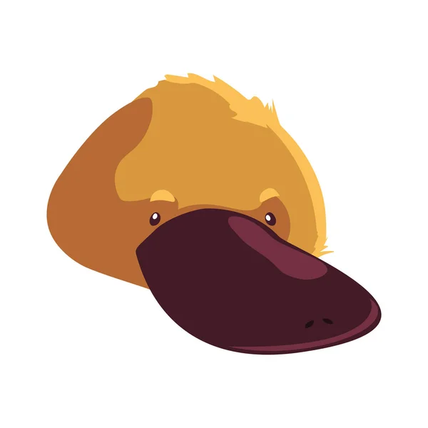 Head of platypus on white background — 스톡 벡터