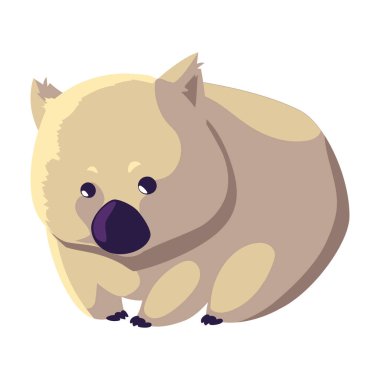 Beyaz arka planda tatlı Avustralyalı vombat