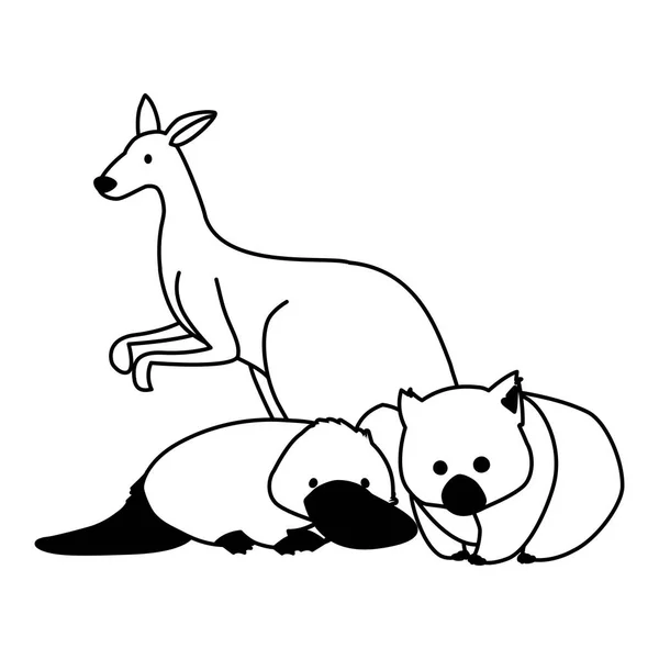 Zwierzęta z Australii na białym tle — Wektor stockowy