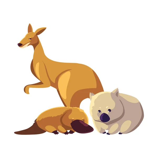 Animales de Australia sobre fondo blanco — Vector de stock