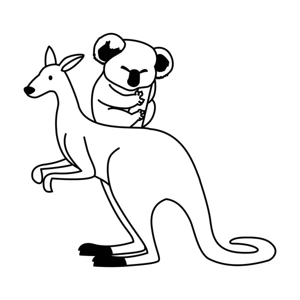 Canguro y koala sobre fondo blanco — Vector de stock