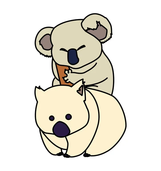 Koala y wombat sobre fondo blanco — Vector de stock