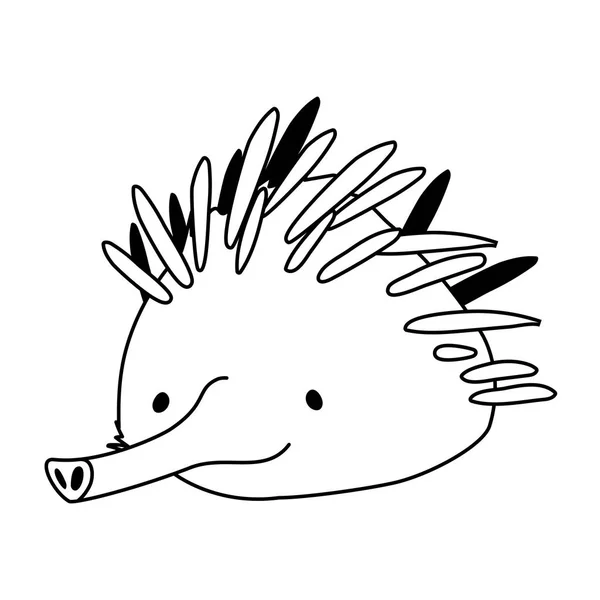 Tête d'echidna sur fond blanc — Image vectorielle