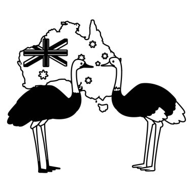 Arkasında Avustralya haritası olan devekuşu ve devekuşu.