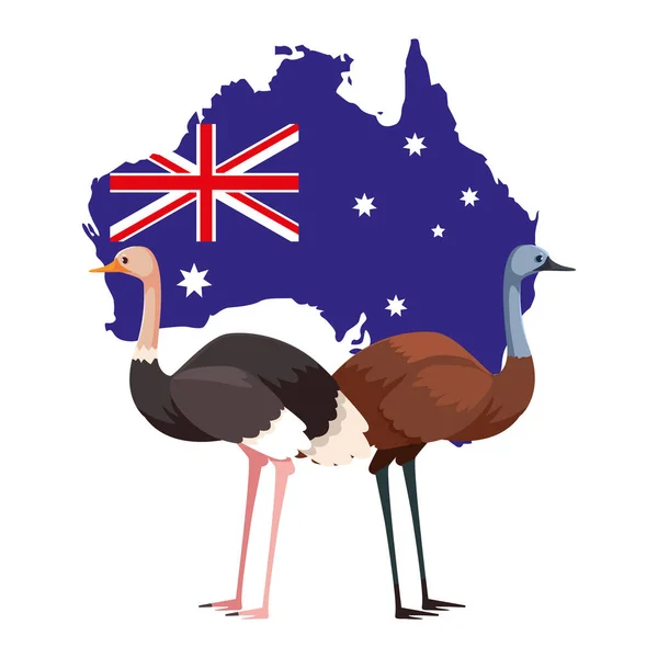 Emu and ostrich with map of australia in the background — Stock Vector