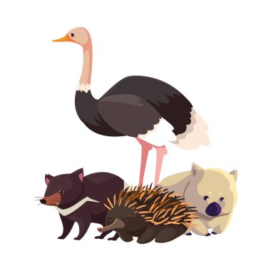 Avusturalya 'nın hayvanları beyaz arka planda