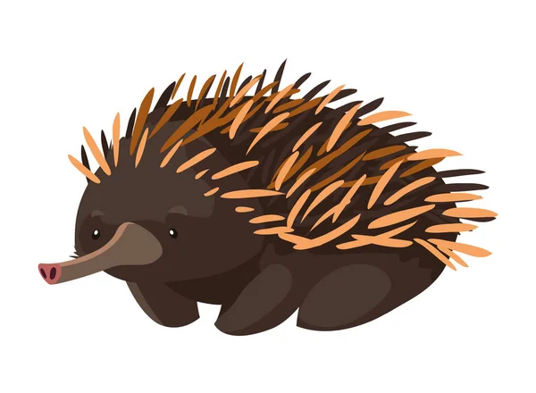 Cute echidna on white background — Stock Vector