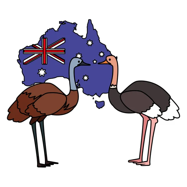 Emu and ostrich with map of australia in the background — Stock Vector