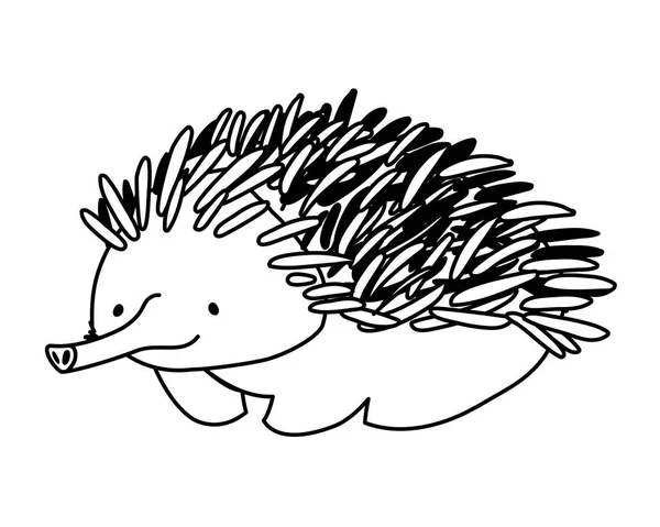 Cute echidna on white background — Stock Vector