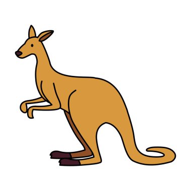 Beyaz arka planda tatlı Avustralya kangurusu