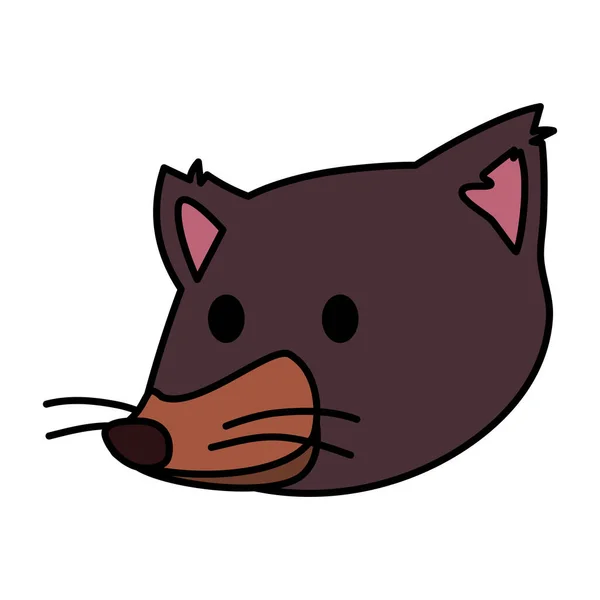 Head of tasmanian devil on white background — 스톡 벡터