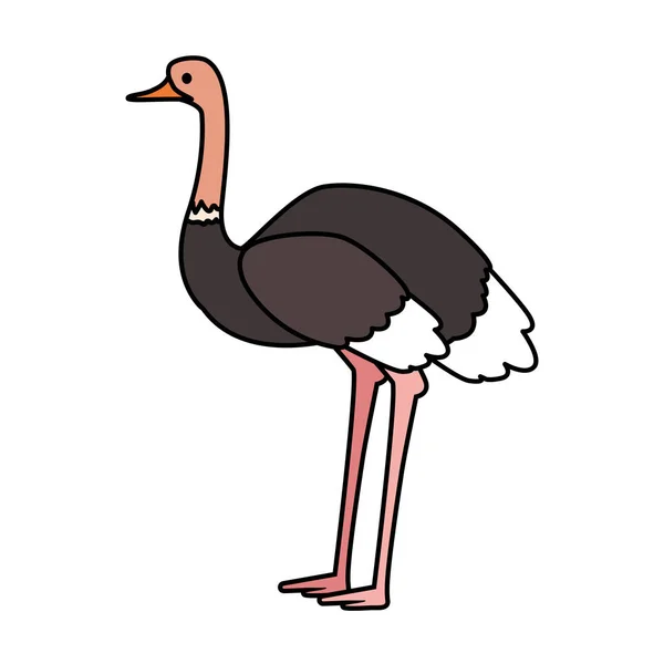 Cute ostrich on white background — Stock Vector