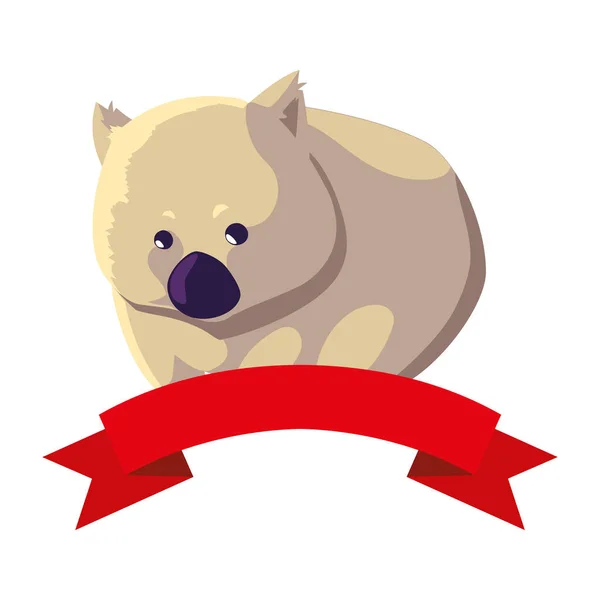 Cute australian wombat with ribbon on white background — 스톡 벡터