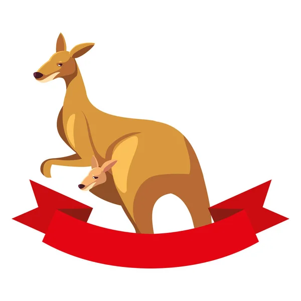 Lindo canguro australiano sobre fondo blanco — Vector de stock