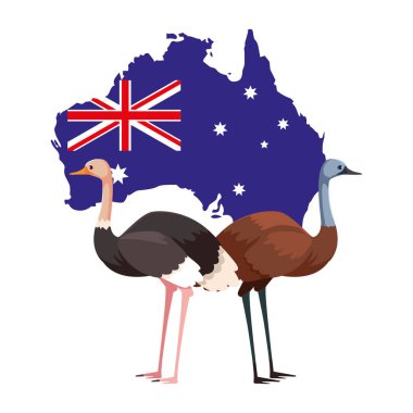 Arkasında Avustralya haritası olan devekuşu ve devekuşu.