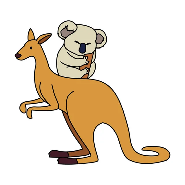 Canguro y koala sobre fondo blanco — Vector de stock