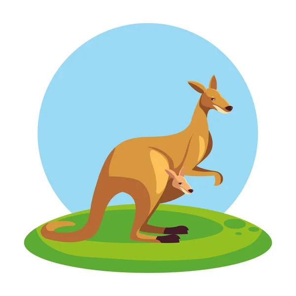 Cute australian kangaroo with background landscape — Stock Vector