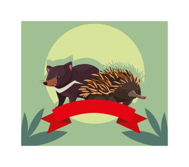 card with tasmanian devil and echidna
