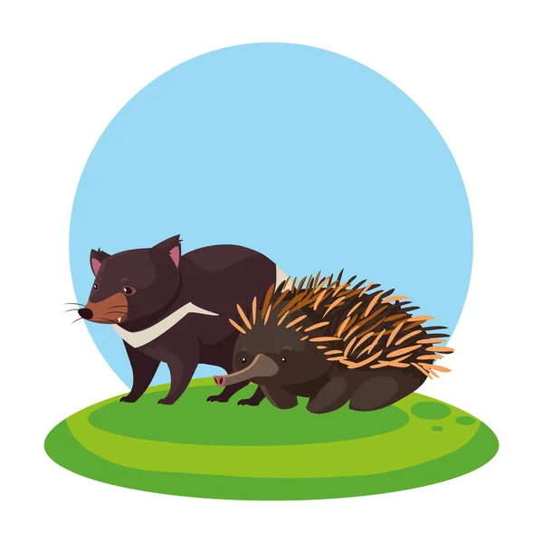 Tasmanian devil and echidna over landscape — ストックベクタ