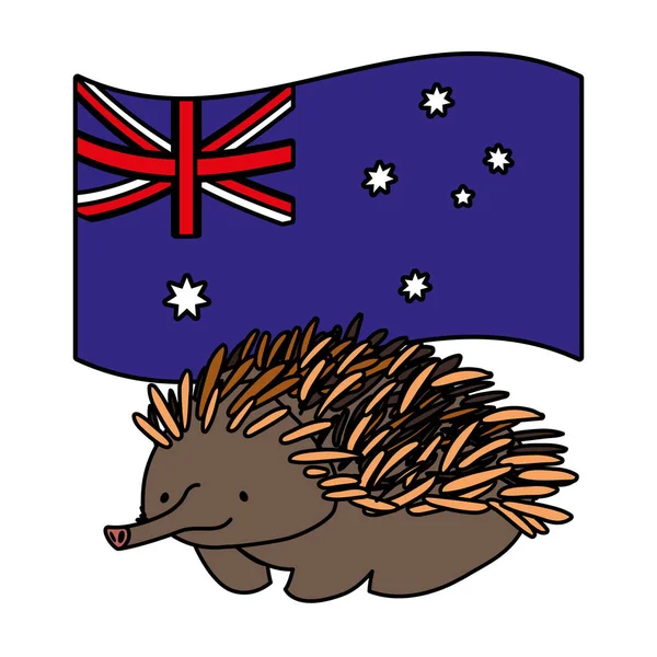 Echidna с австралийским флагом на заднем плане — стоковый вектор