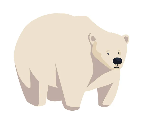 Gran oso polar blanco sobre fondo blanco — Vector de stock