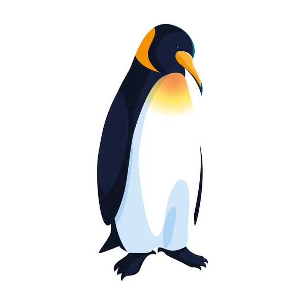 Pinguim imperador em fundo branco — Vetor de Stock