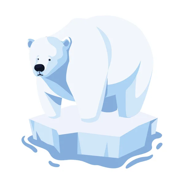 Polar bear on an ice floe drifting on white background — Stock vektor