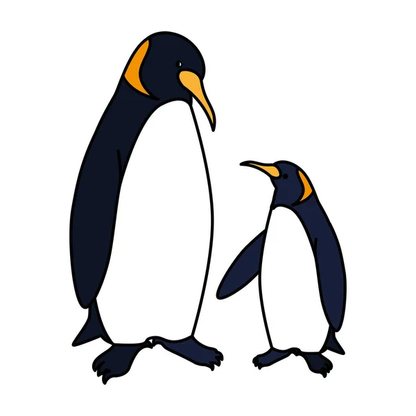 Keizer pinguïns paar op witte achtergrond — Stockvector