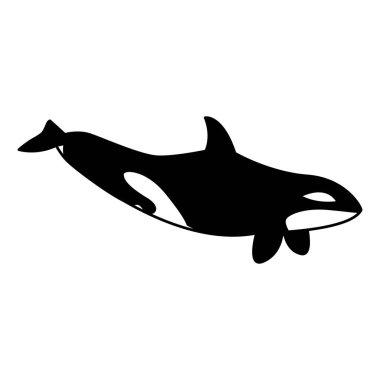 Beyaz arka planda katil balina