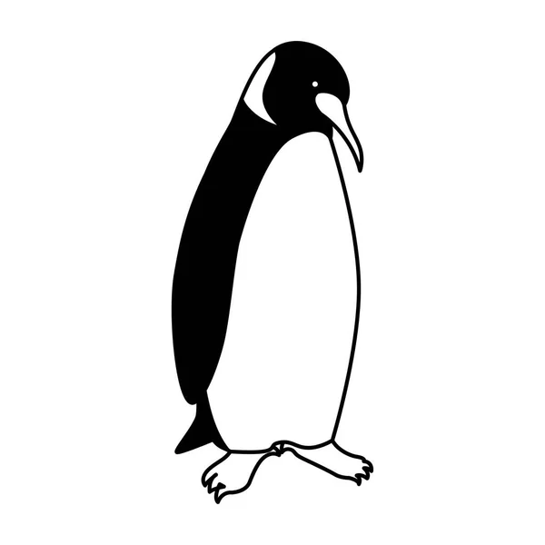 Emperor penguin on white background — Stock Vector