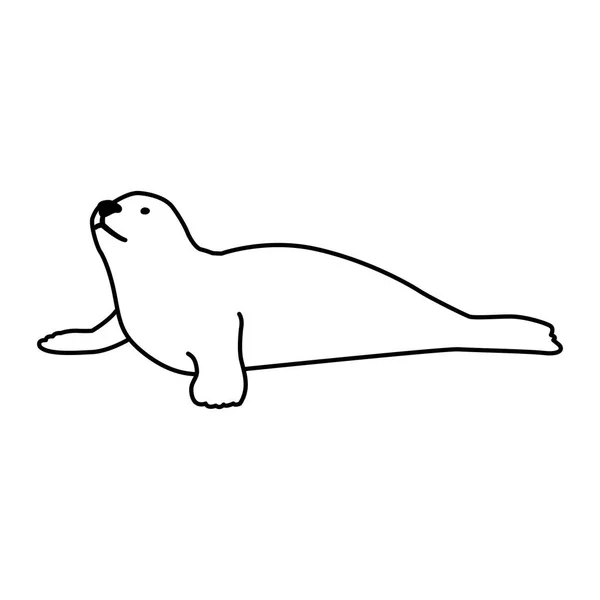 A seal fish on a white background — 스톡 벡터